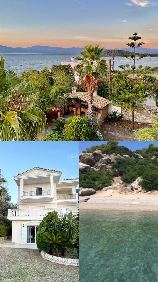 Villa Sul Mare Chalkida Exterior photo